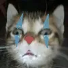 poxa_julia85