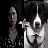 lalywlw