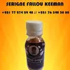 borom.kmane772742948