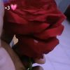 raji7594