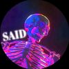 saidvtrno2