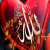 rafiqulislam292929