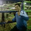 marcos.michell.ro