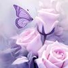 mariv7326