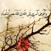 user90091522981901