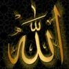bawar123w