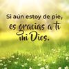 user7823212611763