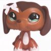 lps_savannah