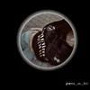 zainab23336