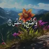 w.w.wtik.tok.quran