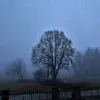 maybemellka_