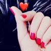 hassanmustafa379