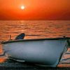 stevsolitaire