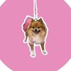 sukithepomchi