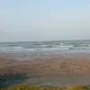 marisamelo46