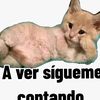 darianrivera33