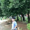 lashan948
