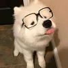 sammy_sfab