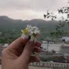 jwan7211