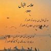 saim.ali34476