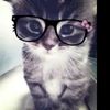 .meray.mikhaeil