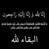 user8206879556125