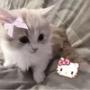 hongngoc_659