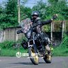 king_of_siluman