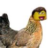 mishadok7