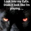 play.no.games2