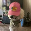 dunkinthepoodle