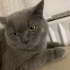 mister_hamza47