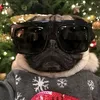 mopsikthepug