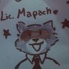 mapache3319