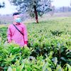 agunggung000