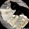 blackcat_editzz