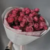 sc.vn1