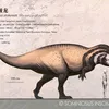 thehighspinereptile