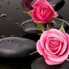 ahmed.ahmed00600
