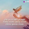 om_yousef1111