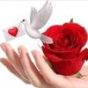 user9140765457272