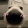 minn.thuuw_