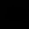ic_nass