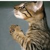 waitingforappeal