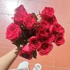 duonduon_16