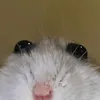 qzzzzzzzzzzzz48
