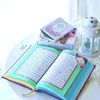 aicha.shamsy