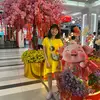 dinhdinhhuynh3