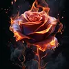 mariam.alobeidi