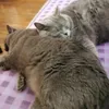 mariechristineleg22